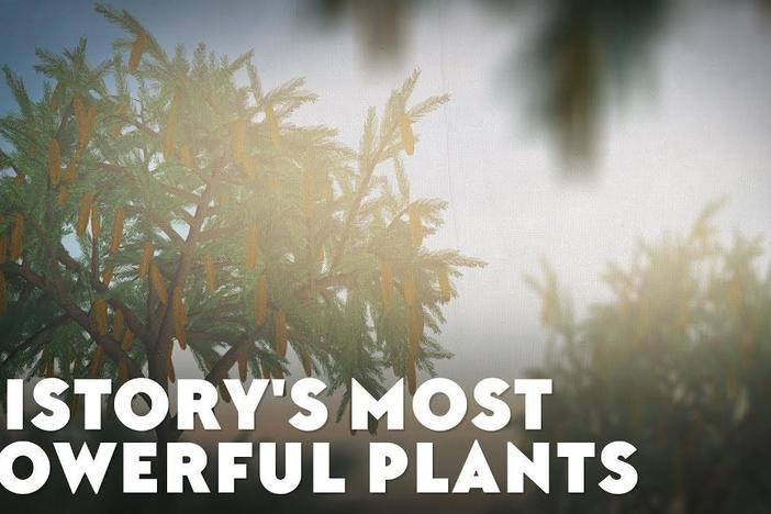 History's Most Powerful Plants: asset-mezzanine-16x9