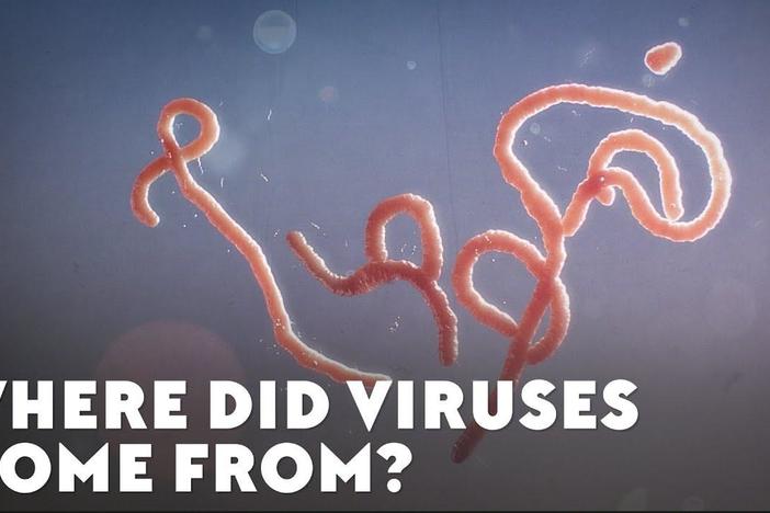 Where Did Viruses Come From?: asset-mezzanine-16x9