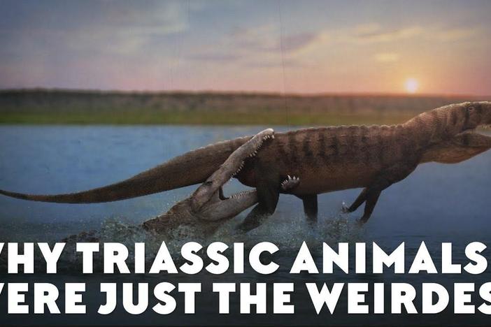 Why Triassic Animals Were Just the Weirdest: asset-mezzanine-16x9