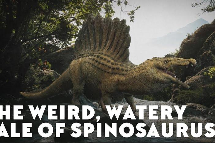 The Weird, Watery Tale of Spinosaurus: asset-mezzanine-16x9