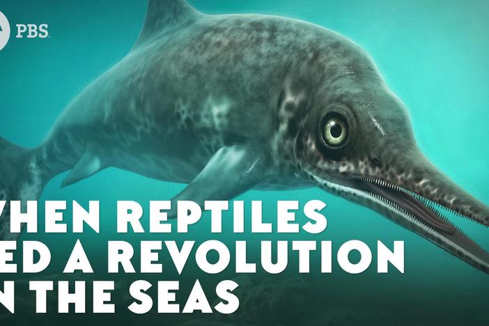 When Ichthyosaurs Led a Revolution in the Seas: asset-mezzanine-16x9