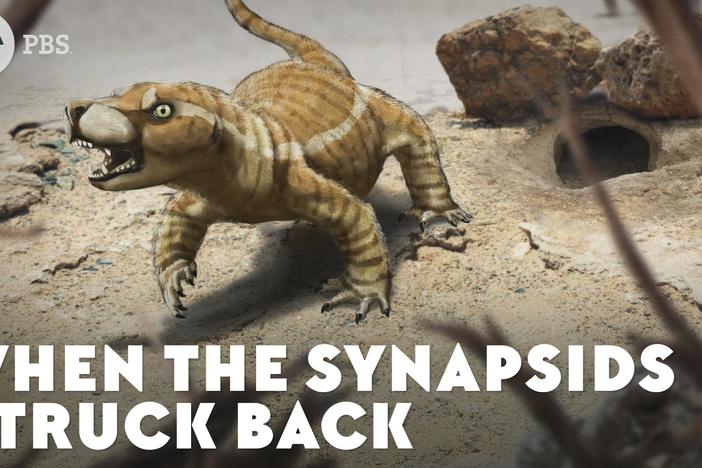 When the Synapsids Struck Back: asset-mezzanine-16x9