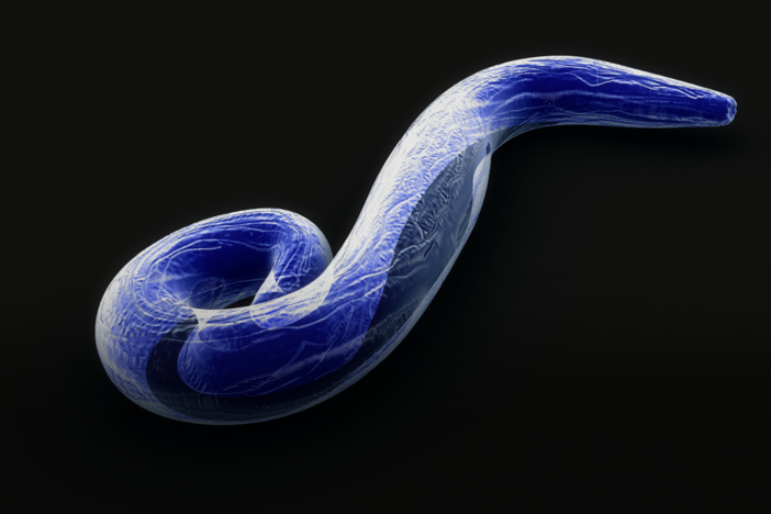 How Our Deadliest Parasite Turned To The Dark Side: asset-mezzanine-16x9