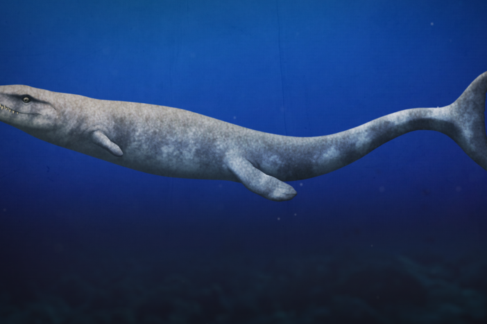 When Crocs Thrived in the Seas: asset-mezzanine-16x9