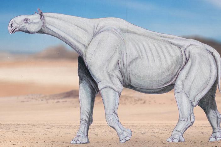 The Rise and Fall of the Tallest Mammal to Walk the Earth: asset-mezzanine-16x9
