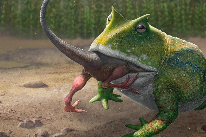 The Biggest Frog that Ever Lived: asset-mezzanine-16x9