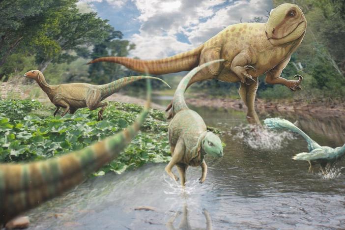The Story of the Dino Stampede: asset-mezzanine-16x9