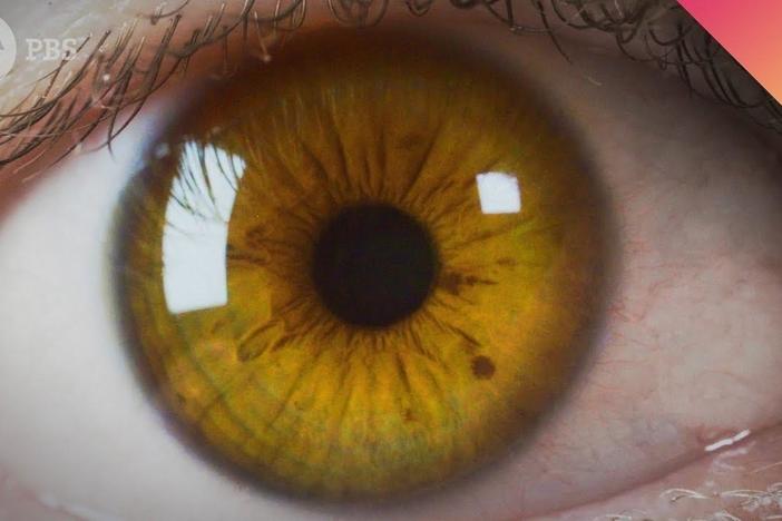 Is Your Eye Color Real?: asset-mezzanine-16x9