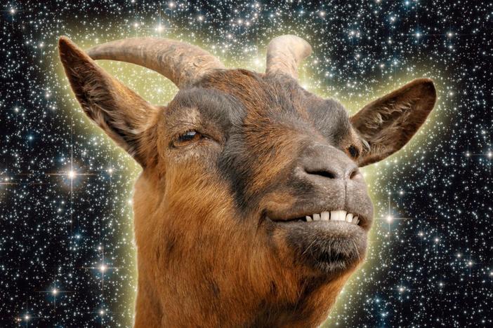 The Science of Goats!: asset-mezzanine-16x9
