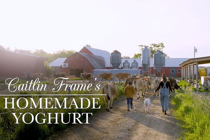 Caitlin Frame’s Easy Homemade Yoghurt: asset-mezzanine-16x9