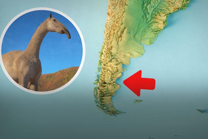 The Mystery of South America's False Horses: asset-mezzanine-16x9
