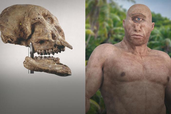 Were These Monsters Inspired by Fossils?  (ASL): asset-mezzanine-16x9