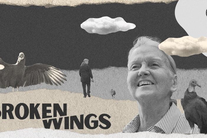 Broken Wings: asset-mezzanine-16x9