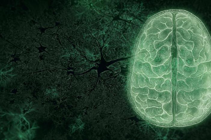 Your Brain: Who's in Control?: asset-mezzanine-16x9
