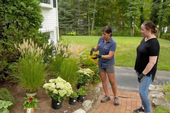 Scorched Floor, Hardy Plantings | Ask TOH: asset-mezzanine-16x9