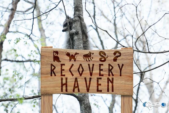 Recovery Haven: asset-mezzanine-16x9