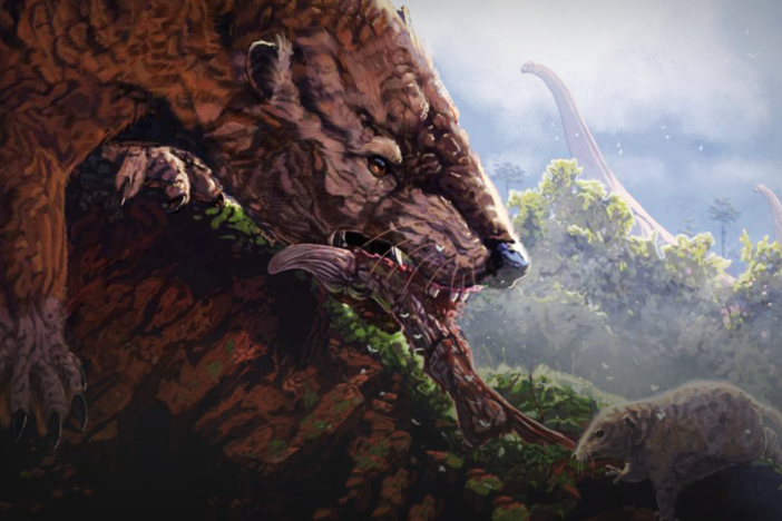 What Happened To The Other Mesozoic Mammals?: asset-mezzanine-16x9