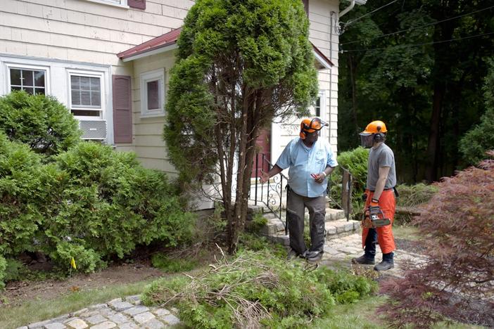 E10 | Trash Insert, Arborvitae Removal | Ask This Old House: asset-mezzanine-16x9