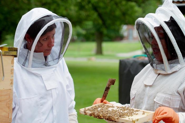 E13 | Beehives 101, Step Stool | Ask This Old House: asset-mezzanine-16x9