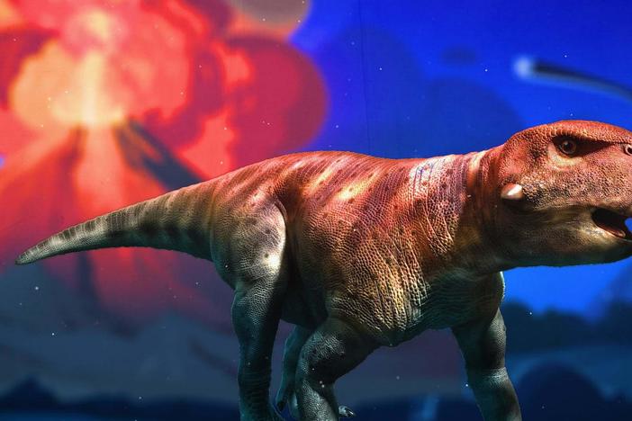The Mystery of the Cretaceous Pompeii: asset-mezzanine-16x9