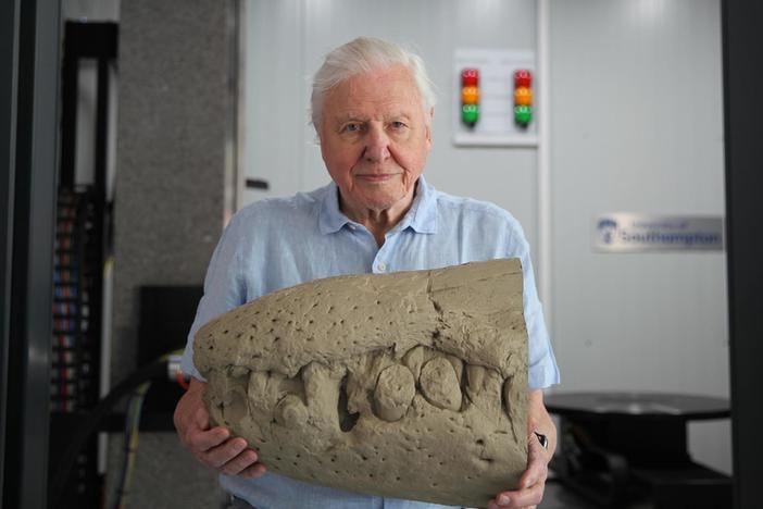 Attenborough and the Jurassic Sea Monster: asset-mezzanine-16x9