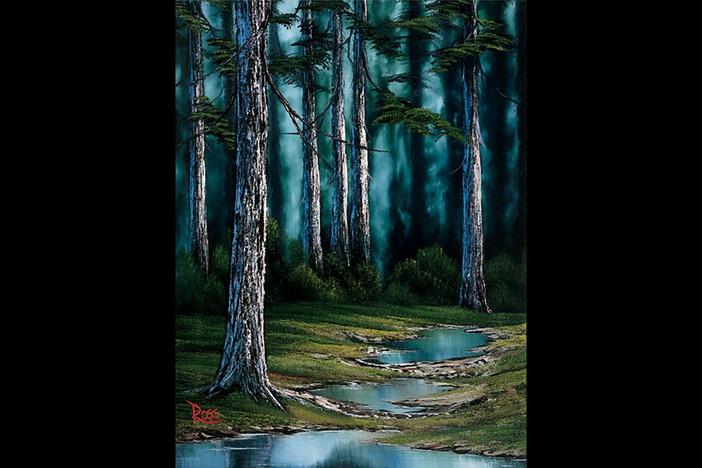Secluded Forest: asset-mezzanine-16x9