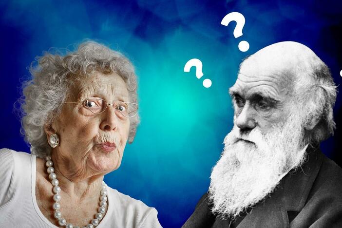 Why Your Grandma Is an Evolutionary Mystery: asset-mezzanine-16x9