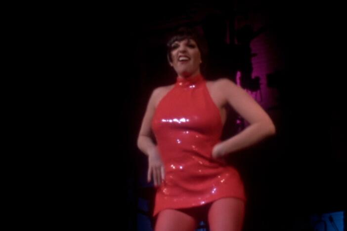 LIZA: A Truly Terrific Absolutely True Story: asset-mezzanine-16x9