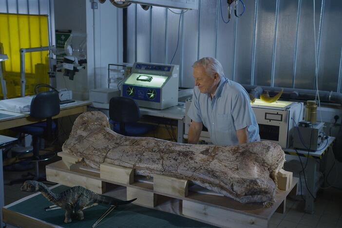 Museum Alive with David Attenborough: asset-mezzanine-16x9