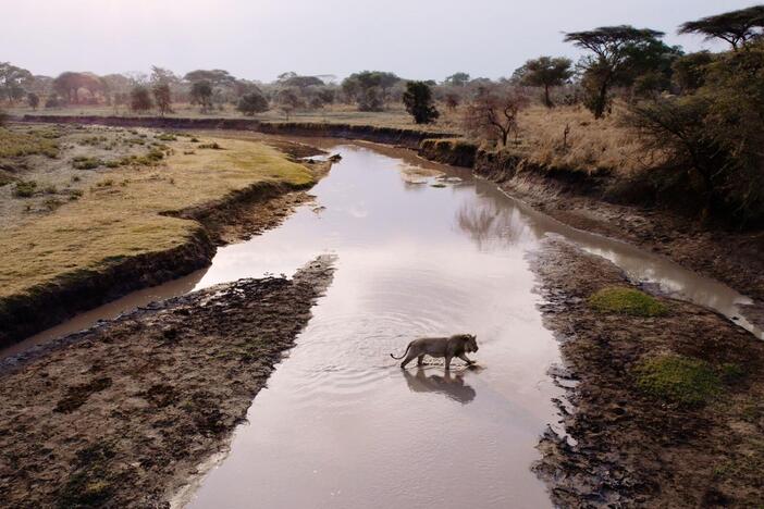 Purgatory | Katavi: Africa's Fallen Paradise: asset-mezzanine-16x9