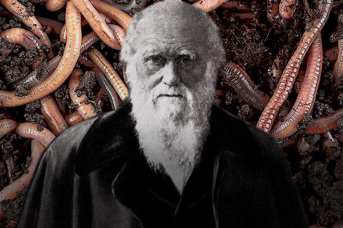 Darwin's Unexpected Final Obsession: asset-mezzanine-16x9