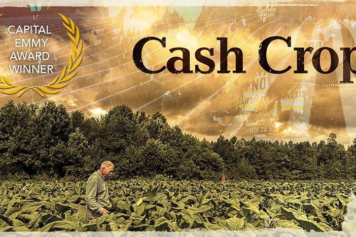 Cash Crop: asset-mezzanine-16x9