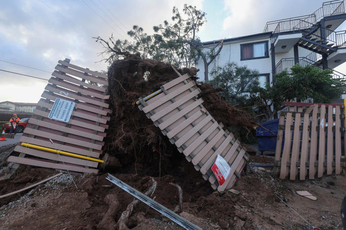 A damaged fence is seen after a large tree was blown into an apartment building during a winter storm in San Diego, California, U.S., February 22, 2023. REUTERS/Mike Blake