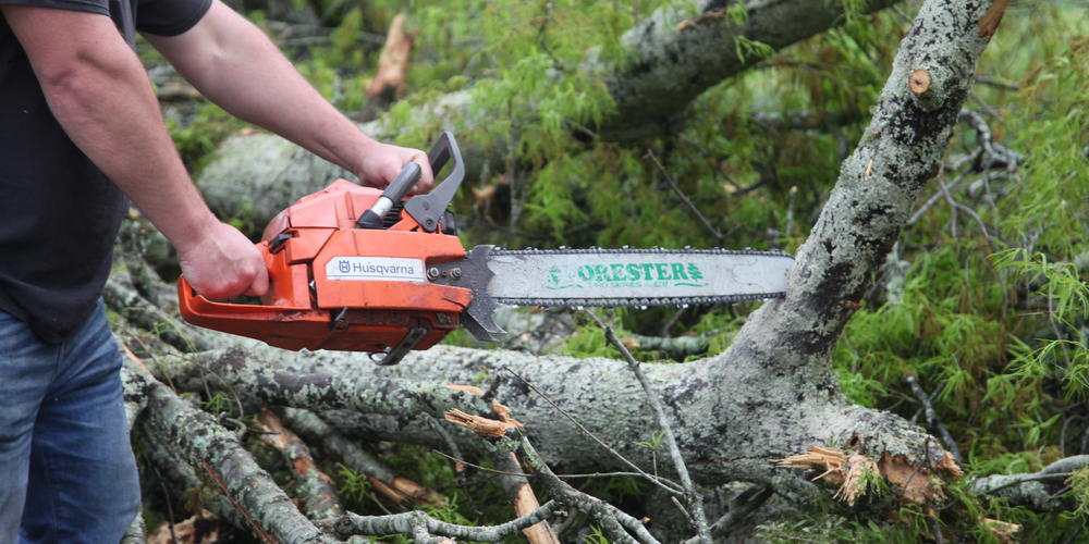 Crews work to eliminate downed trees and debris following deadly tornado in Newnan, Ga.