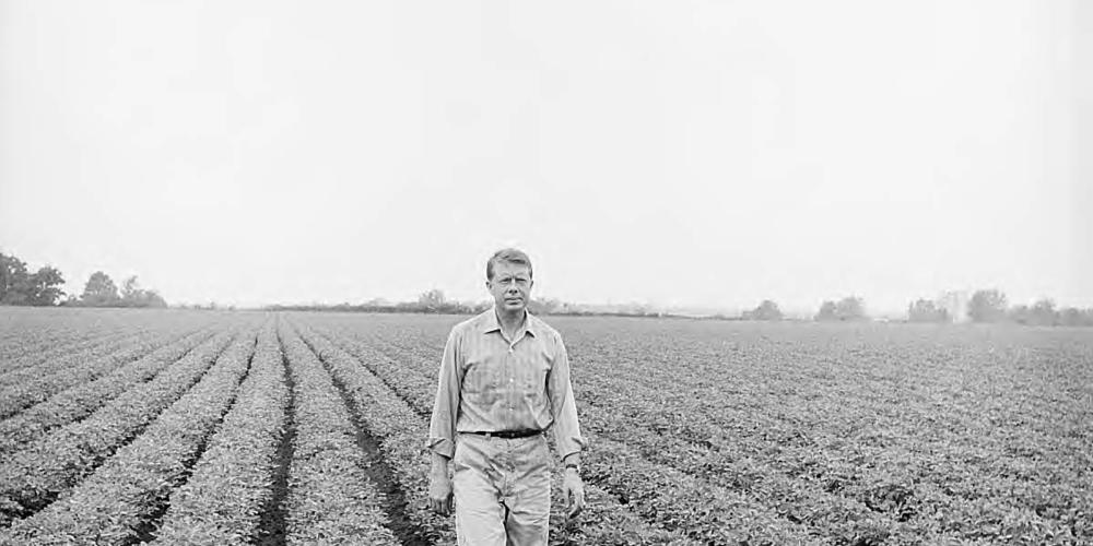 Jimmy Carter Standing in a peanut field.