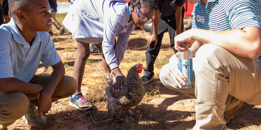 Chattahoochee hills charter school