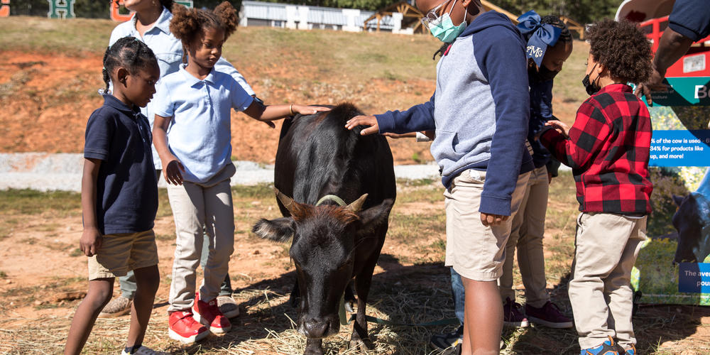 Chattahoochee hills charter school