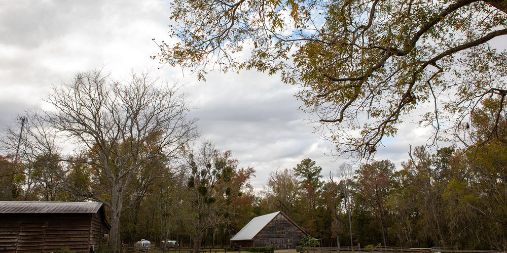 The Rock House