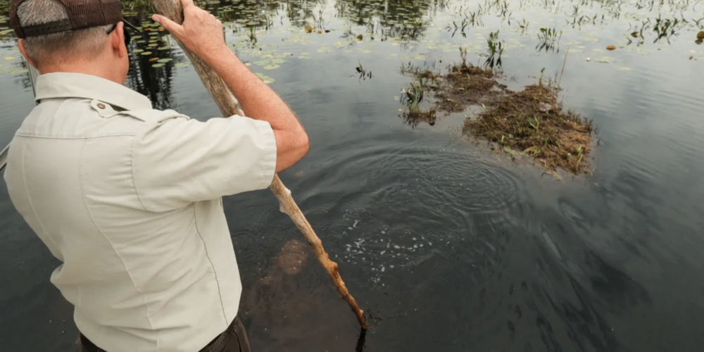 Methane gas bubbles up from beneath the peat as Michael Lusk prods the bottom with a long pole. Credit: Justin Taylor