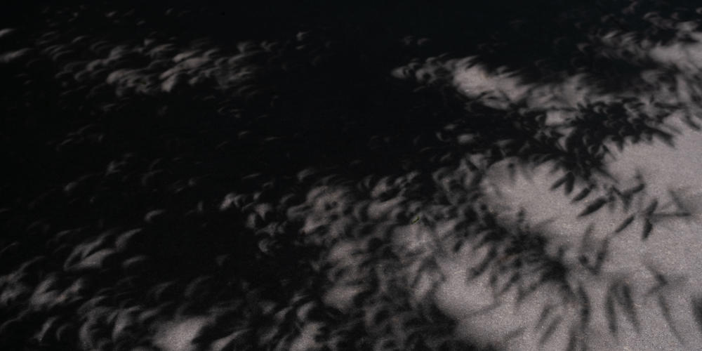Fuzzy shadows appear on the ground during the partial solar eclipse in Macon, Ga., on April 8, 2024.