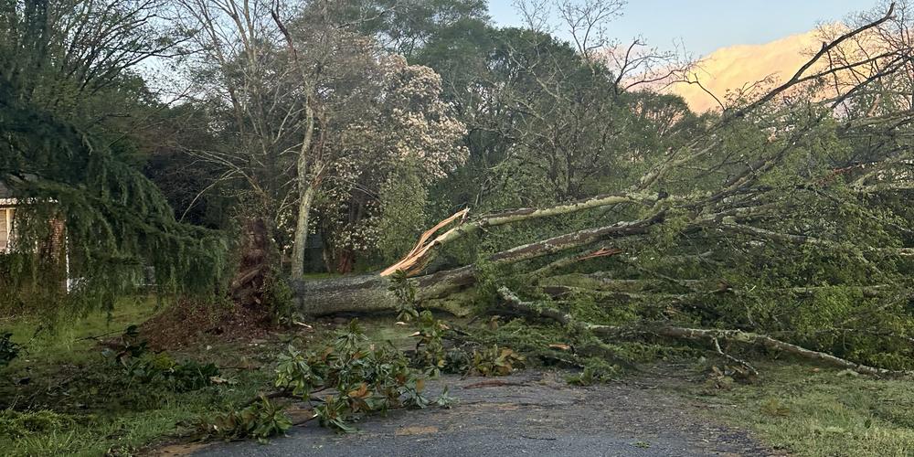 April 3 storm