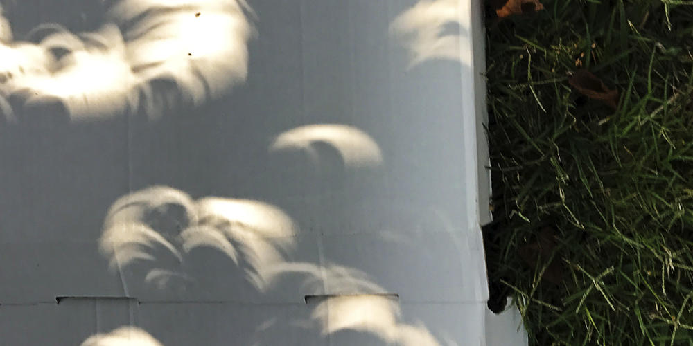 A photo of a partial eclipse images passing through tree leaves. Credit: Philip Groce.