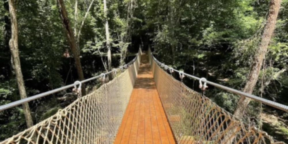 Lovejoy Capital submitted these images with its proposal to invest $23 million in a public-private partnership to turn Macon-Bibb County’s Lake Tobesofkee to create a “luxurious and immersive experience in nature” that includes a world-class maze. Credit: Courtesy Macon-Bibb County