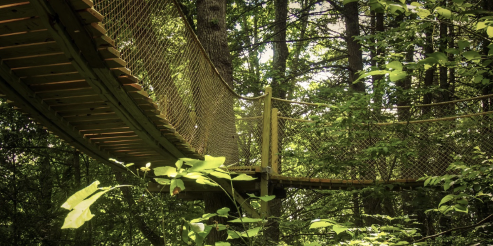 Lovejoy Capital submitted these images with its proposal to invest $23 million in a public-private partnership to turn Macon-Bibb County’s Lake Tobesofkee to create a “luxurious and immersive experience in nature” that includes a world-class maze. Credit: Courtesy Macon-Bibb County
