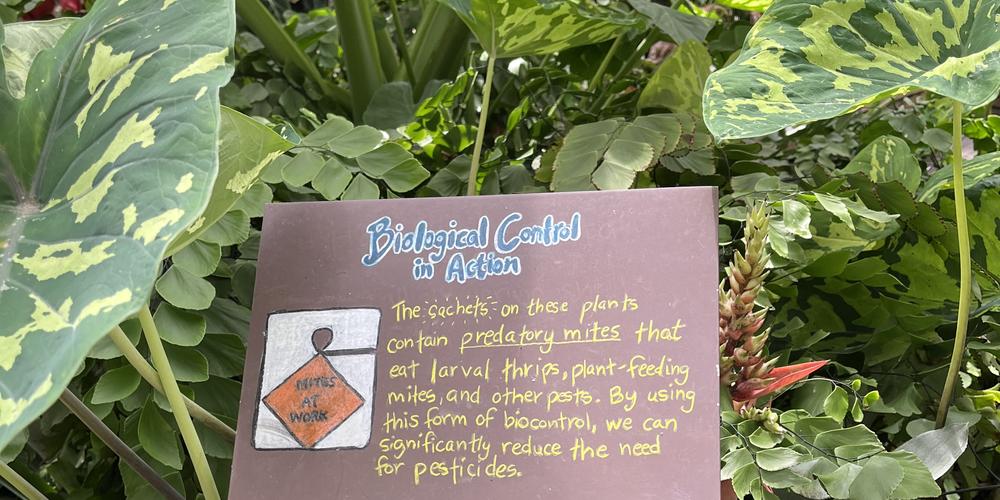 Signs educating about biological control in action at the Atlanta Botanical Gardens.