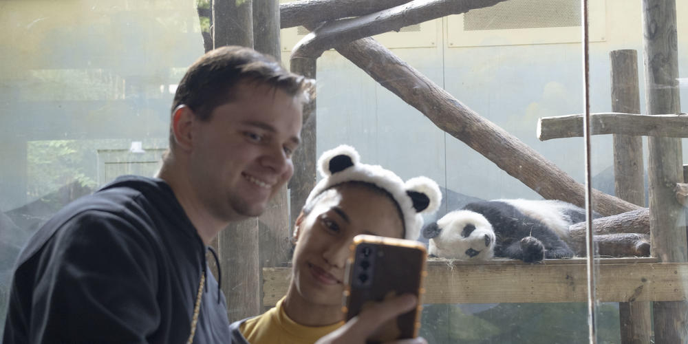 Guests at Zoo Atlanta commemorate the zoo's Giant pandas departure with a selfie. 