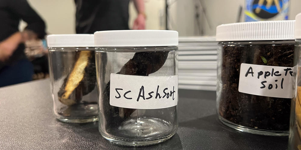 Samples collected near the BioLab facility days after the September 29 fire.