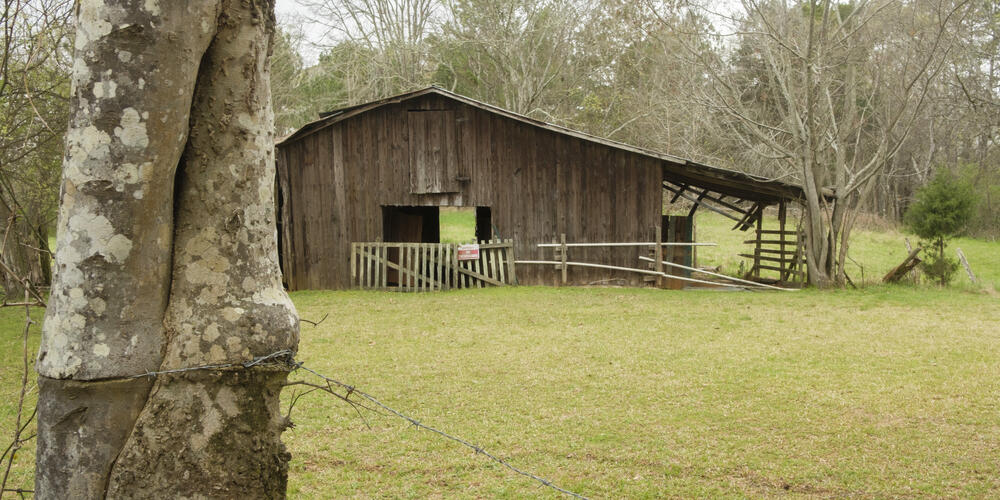 This still standing barn at the Andalusia Farm in Milledgeville was just one subject for the painting of author Flannery O’Connor.