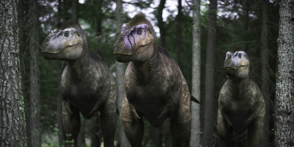 A group of Albertosaurus from Walking with Dinosaurs