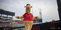 The Atlanta Braves mascot struts across the stage during the team’s celebration at Truist Park on Nov. 5.